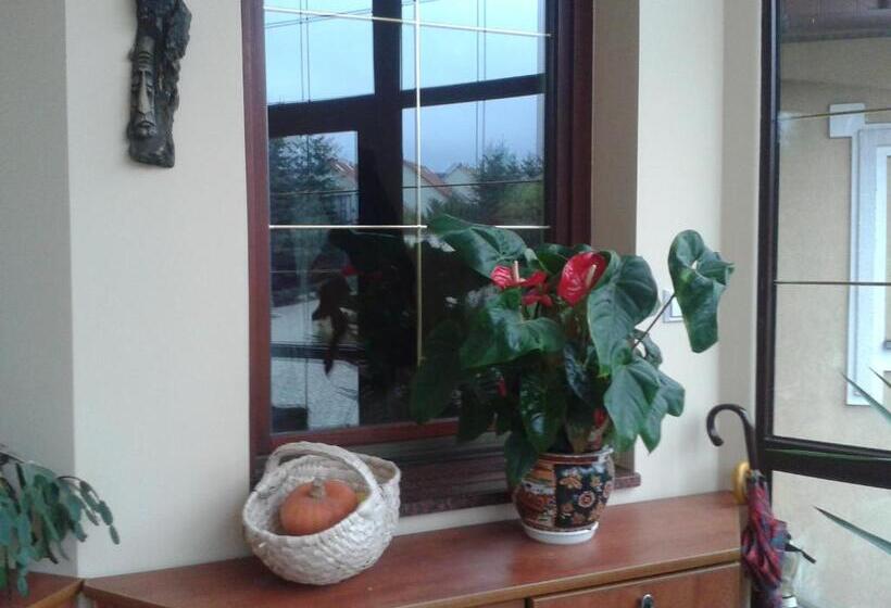 اتاق عادی یک تخته, Gościniec Słoneczny