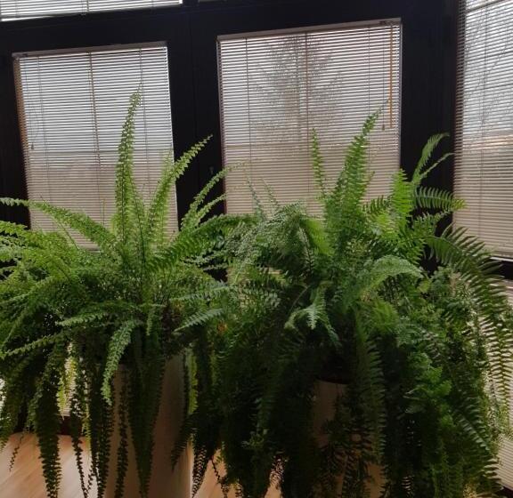 اتاق استاندارد چهارنفره با بالکن, Gościniec Słoneczny