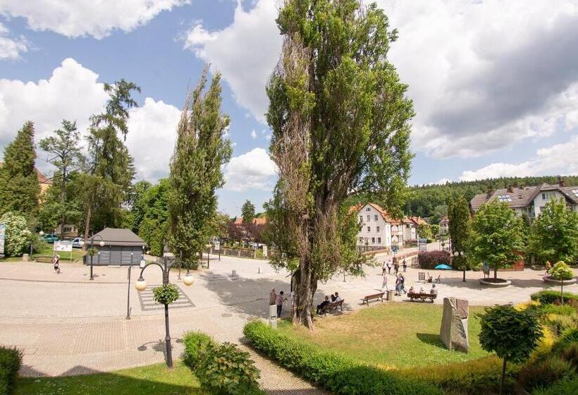 اتاق استاندارد چهارنفره با بالکن, Parkowa 3