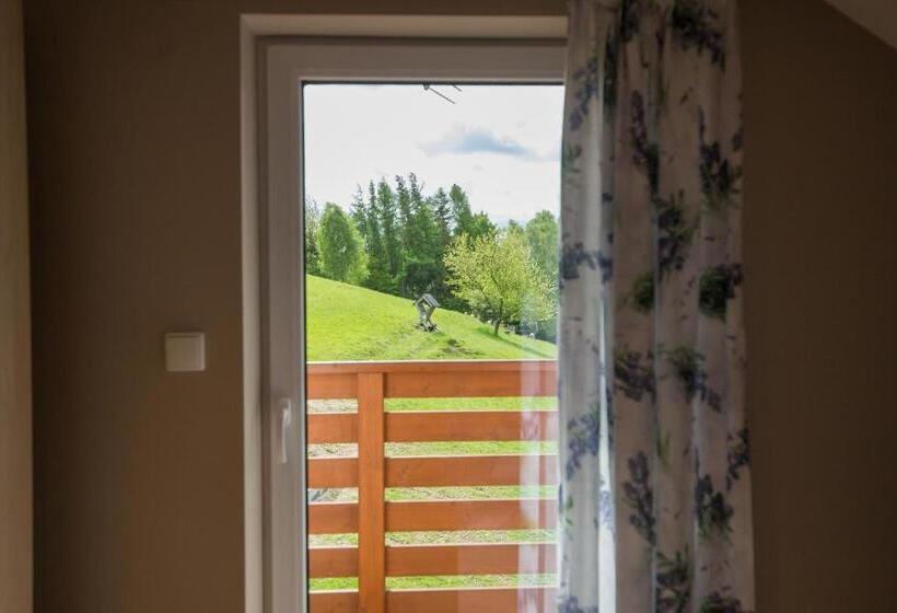 带1个卧室的带阳台的公寓, Willa Pod Bukami