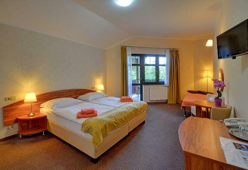 חדר סטנדרט, Pensjonat Olympia