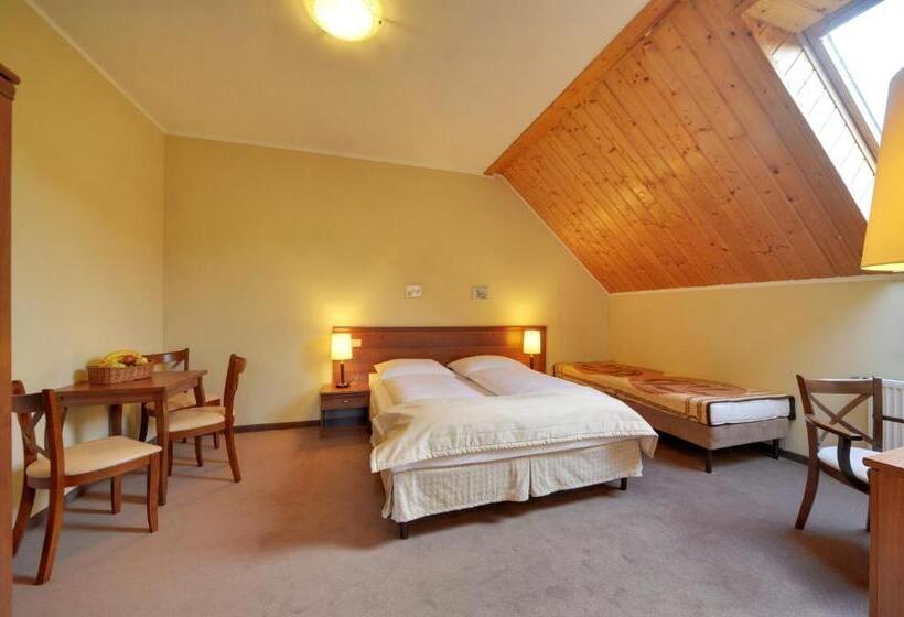 דירת חדר, Pensjonat Olympia