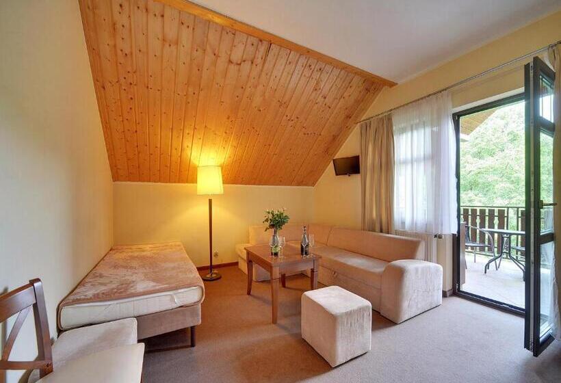 דירת חדר, Pensjonat Olympia