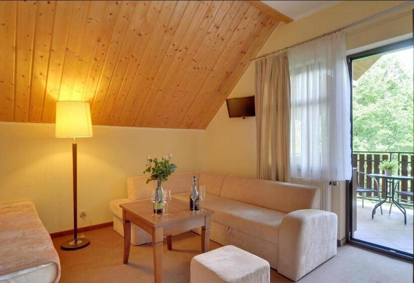 דירת חדר, Pensjonat Olympia