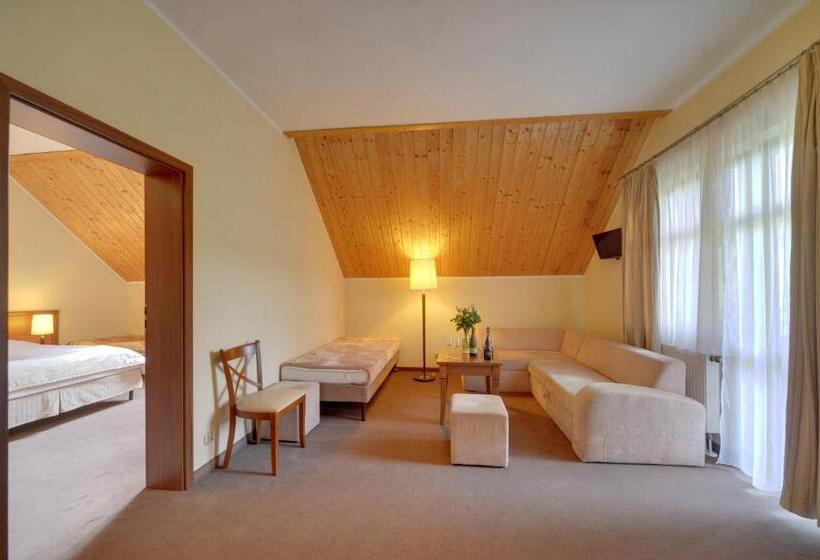 דירת חדר דלוקס, Pensjonat Olympia