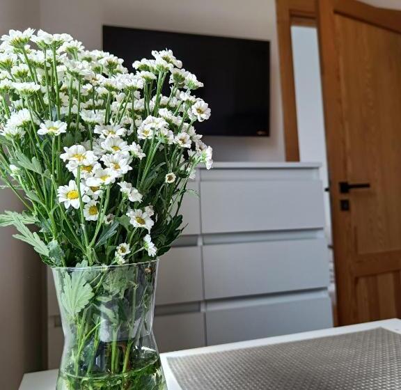 آپارتمان 1 خوابه, Blues Rooms