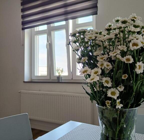 استودیو خانوادگی, Blues Rooms