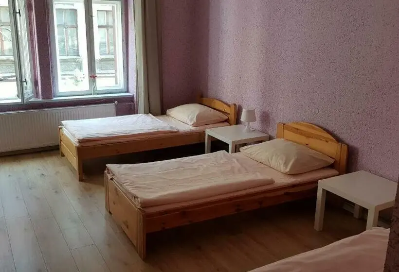 Standard Kolmen Hengen Huone, Kaktus Guest House
