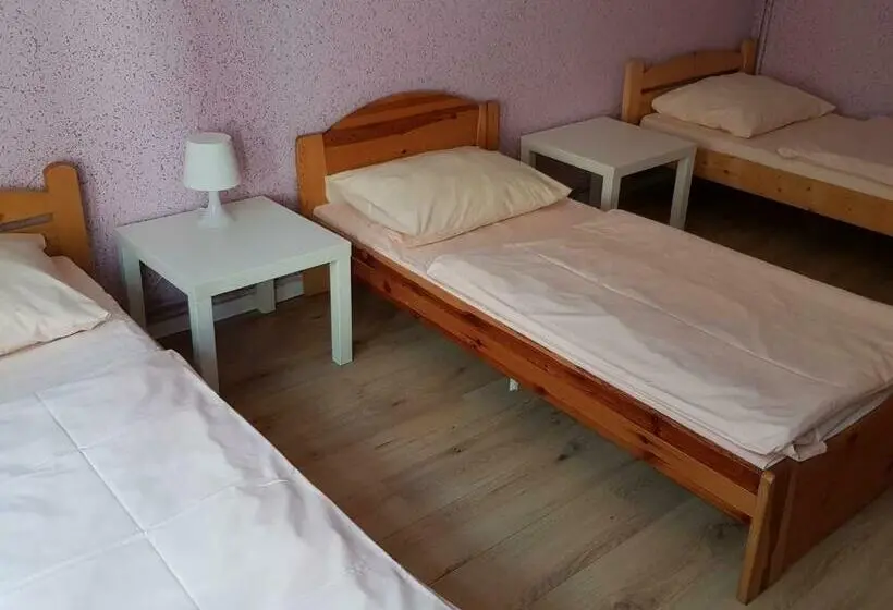 Standard Kolmen Hengen Huone, Kaktus Guest House