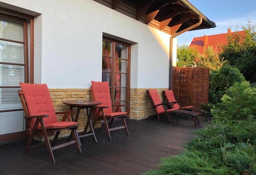 اتاق استاندارد با تراس, Villa Victoria