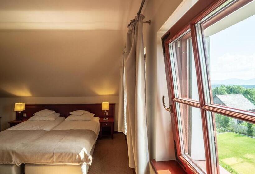 Апартаменты 1 Спальня, Willa Wzgórze Poręba