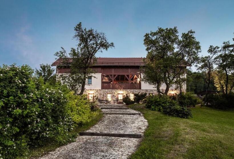 Апартаменты 1 Спальня Нижний Этаж, Willa Wzgórze Poręba