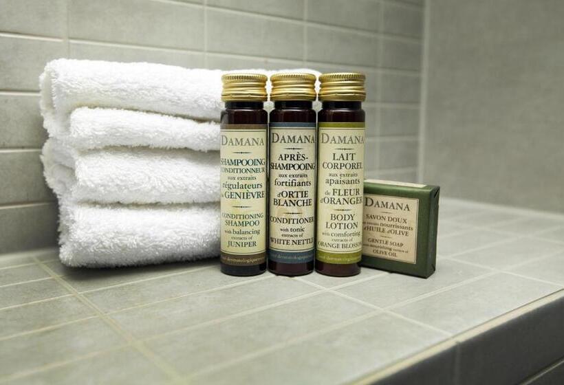 スタンダードトリプルルーム, Inter