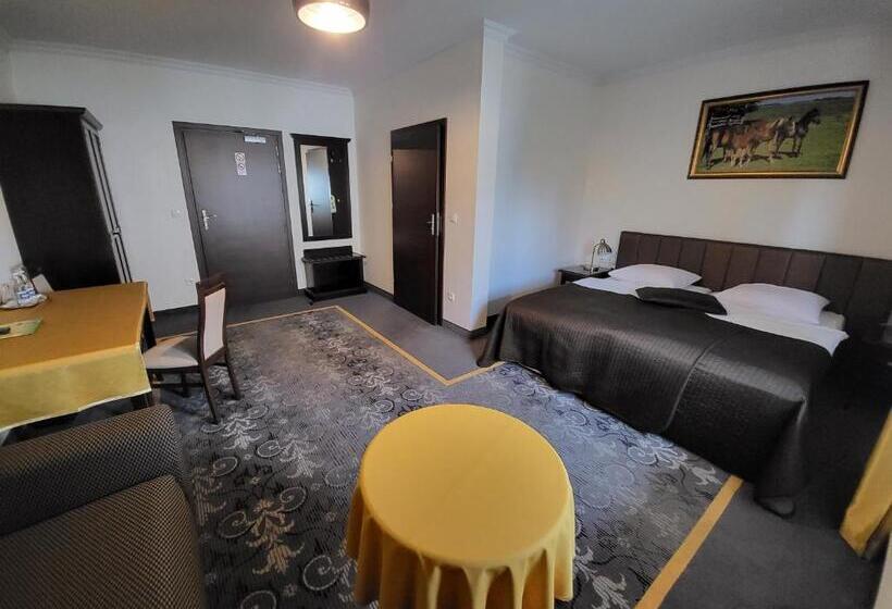 Номер Стандарт, Na Kamieniu Hotel & Spa