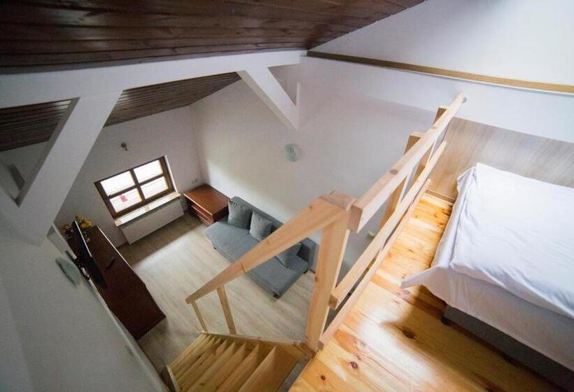 اتاق عادی, Operahostel