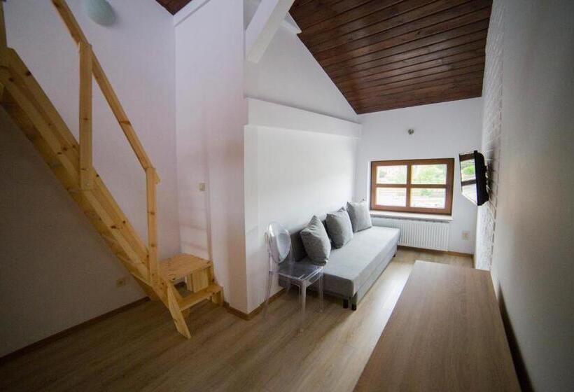 اتاق استاندارد با چشم‌انداز شهر, Operahostel
