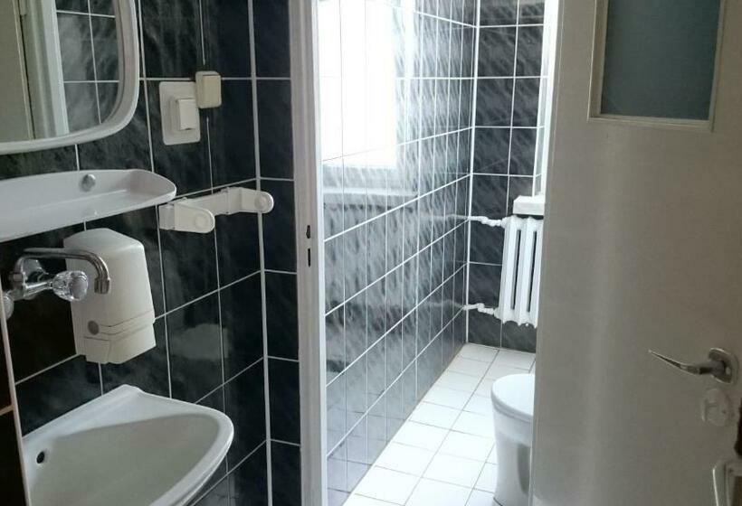 غرفة قياسية حمام مشترك, Przystanek Smerek