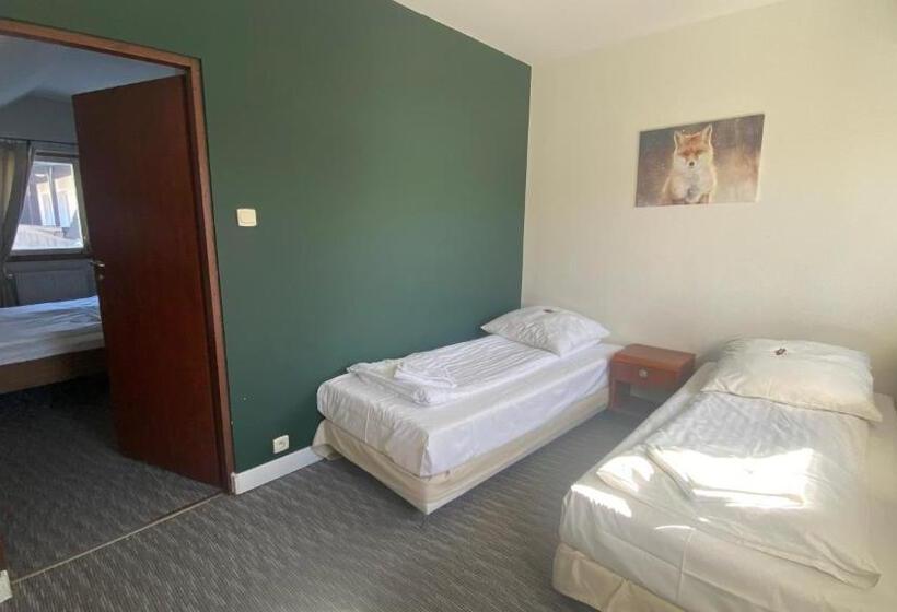 استودیو استاندارد با تخت کینگ, Rudy Lis Szczyrk