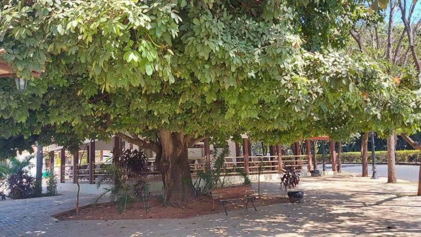 דירת חדר, Diroma International