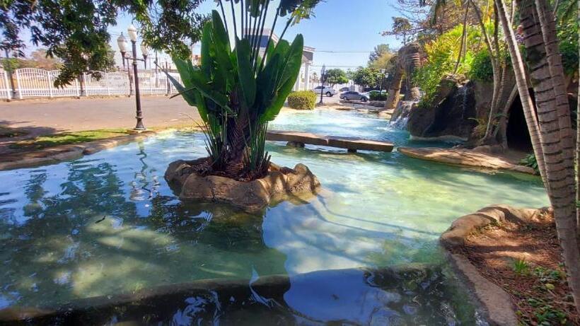 דירת חדר, Diroma International