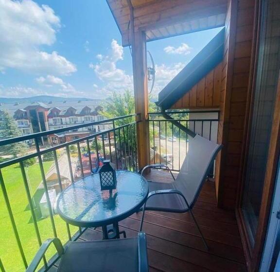 ファミリーステューディオ, Willa Domiwera