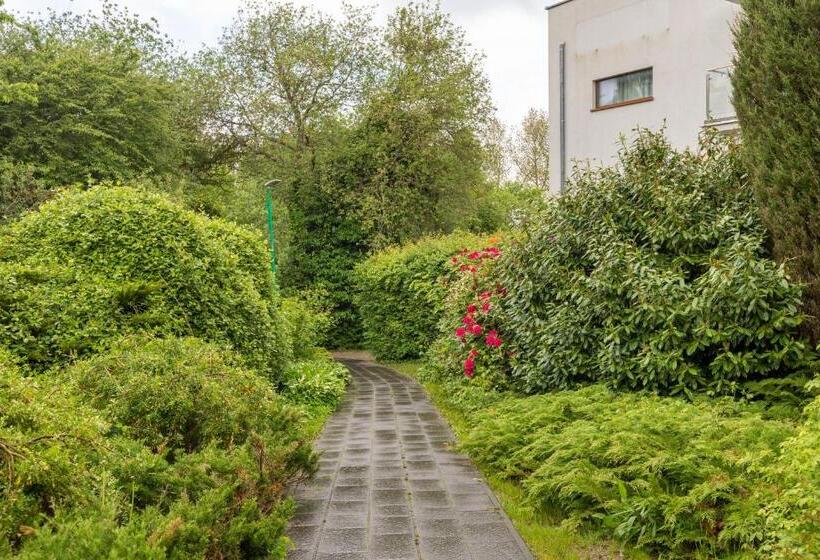 스탠다드 스튜디오 킹침대, Seaside Apartamenty Dominikana I Sianożęty Basen&jakuzzi&parking