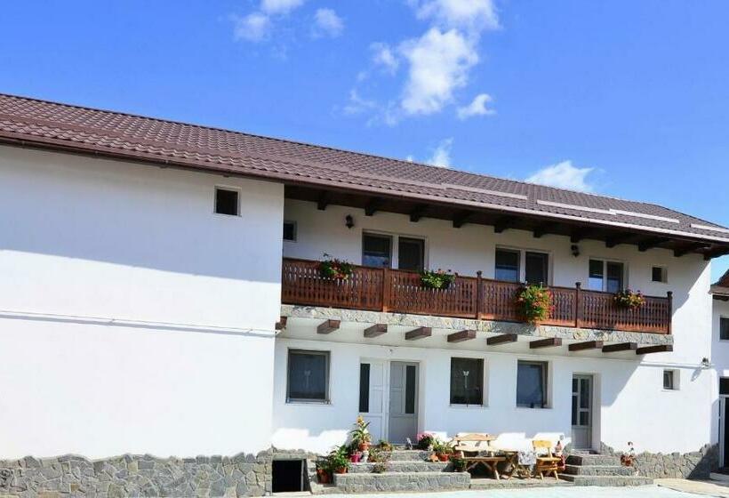 Вилла 1 Спальня, Casa Cu Magnolii