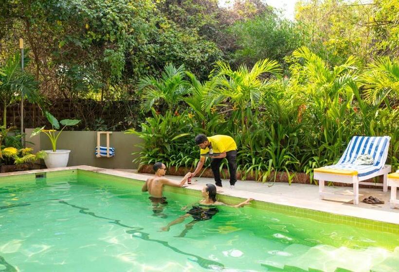 스탠다드 룸 풀장 전망, Locomo Boutique, Morjim Stay Work Eat