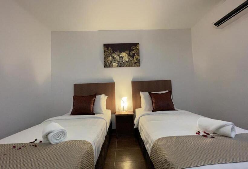 חדר סופריור, Dsh