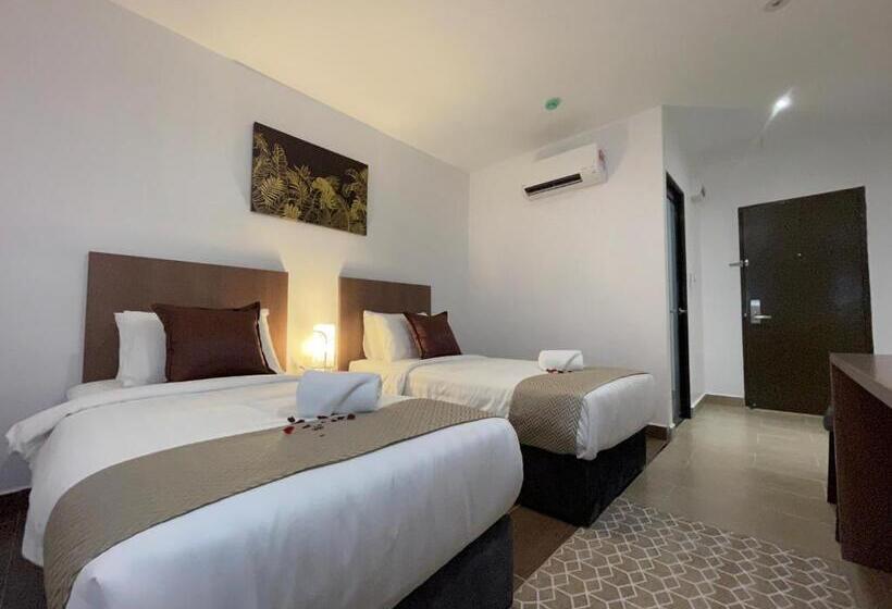 חדר סופריור, Dsh