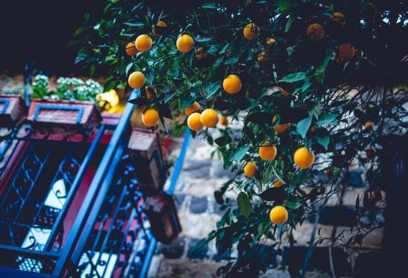 Habitación Estándar con Balcón, וילה תהילה המחודש   The New Villa Tehila