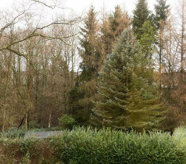 标准间, Handwerks Loft