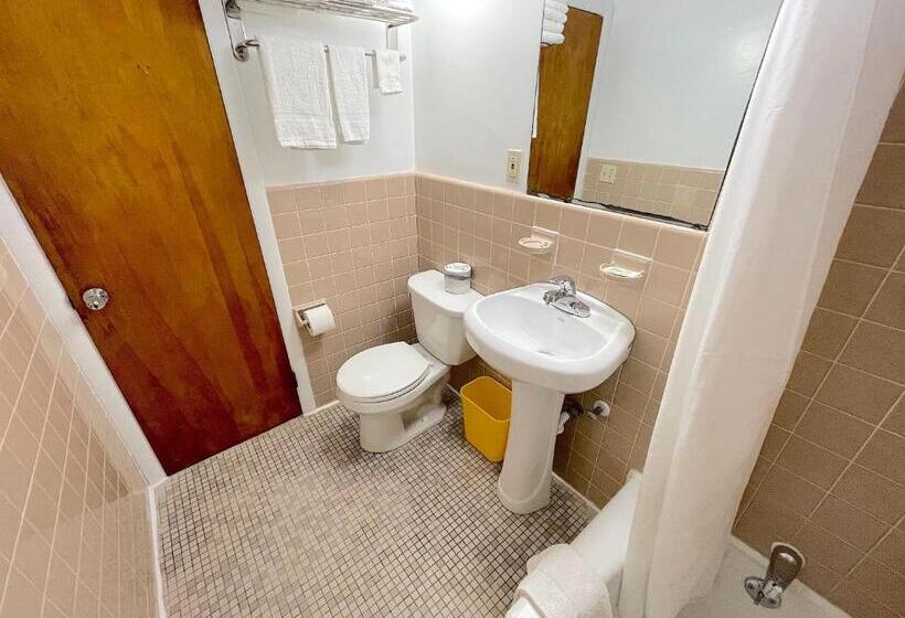 豪华工作室, Cardinal Motel