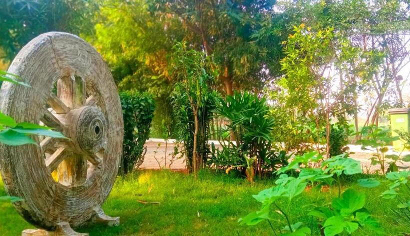 سوییت اجرایی, Farm Stay Resort   Shamirpet, Hyderabad