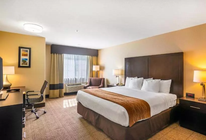 キングサイズベッドのスタンダードルーム, Comfort Inn & Suites