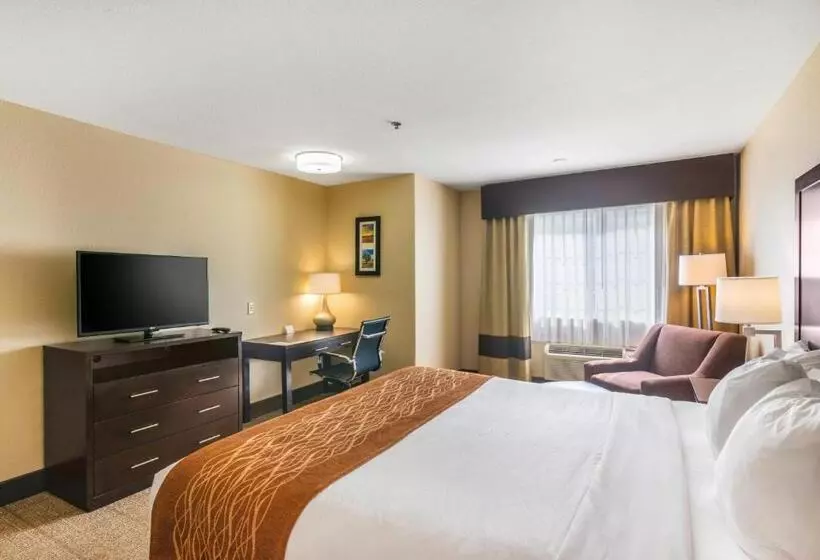 キングサイズベッドのスタンダードルーム, Comfort Inn & Suites