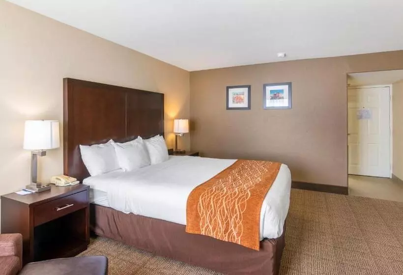 キングサイズベッドのスタンダードルーム, Comfort Inn & Suites