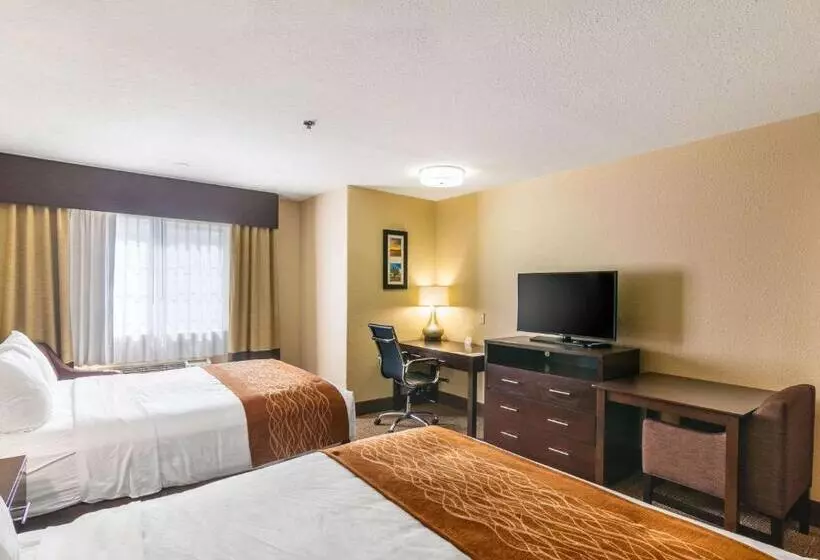 スタンダードルーム, Comfort Inn & Suites
