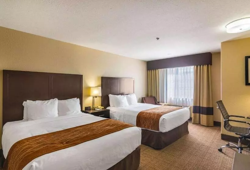 スタンダードルーム, Comfort Inn & Suites