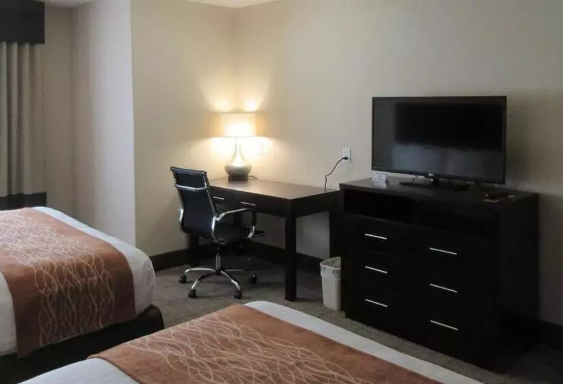 スタンダードルーム, Comfort Inn & Suites