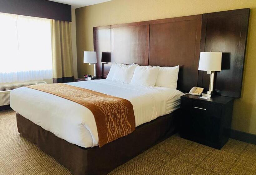 מיטת קינג בסוויטה, Comfort Inn & Suites