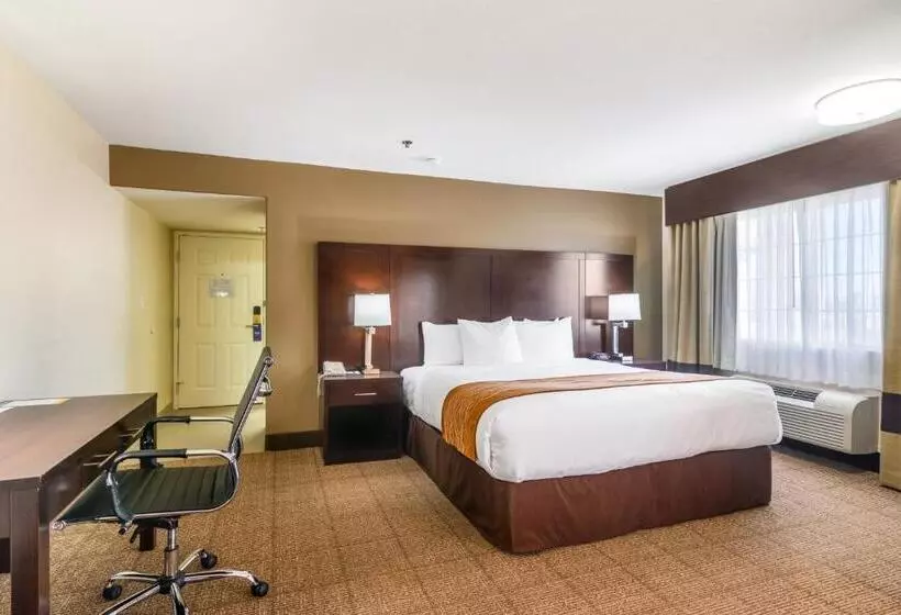 キングサイズベッドのスイートルーム, Comfort Inn & Suites