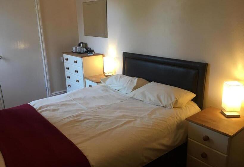 חדר בסיסי, Holly Trees