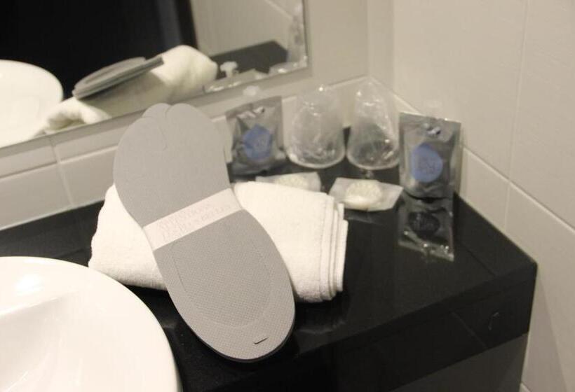 高级大房间, Kyriad Saint Quentin En Yvelines  Montigny