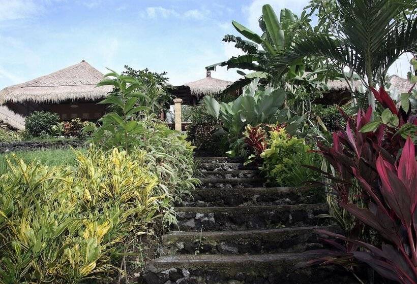 סוויטה, Puri Taman Sari