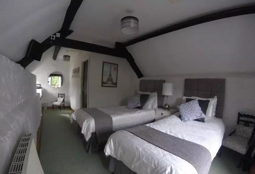 スタンダードルーム, Steps Farmhouse B&b