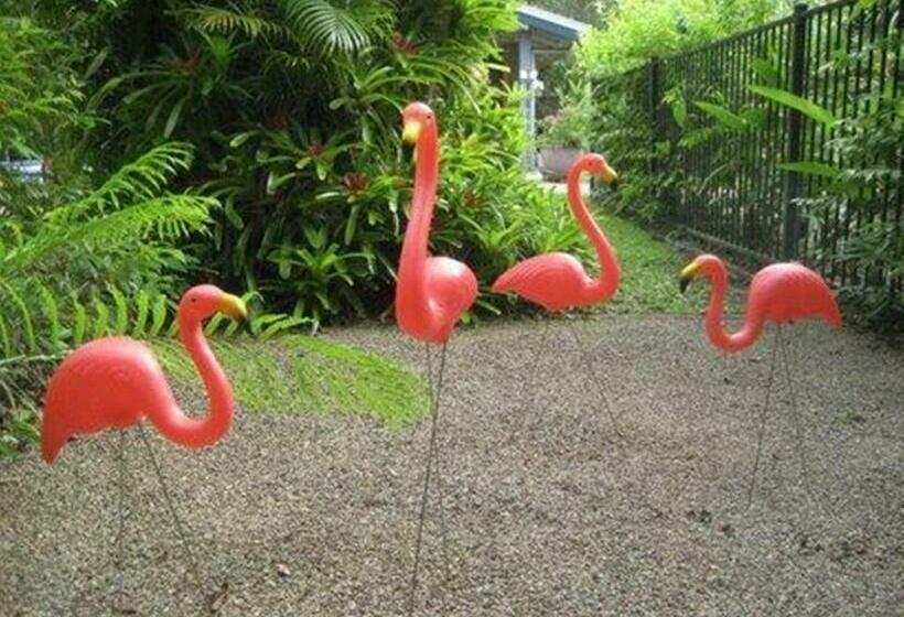 스탠다드 스튜디오, Pink Flamingo Resort