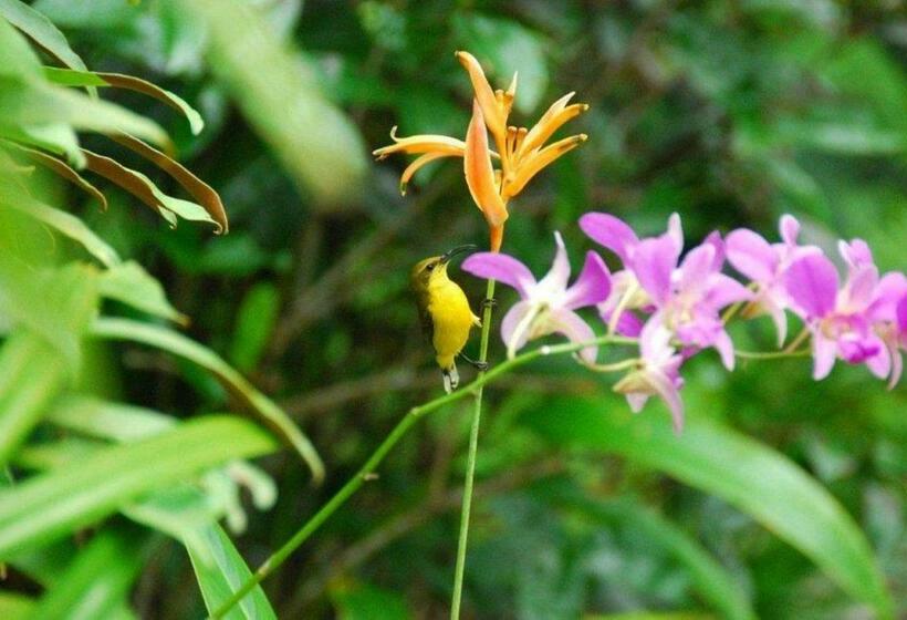 חדר סטודיו סטנדרד, Pink Flamingo Resort