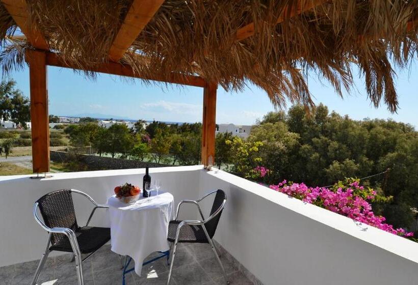 استودیوی استاندارد, Villa Georgia