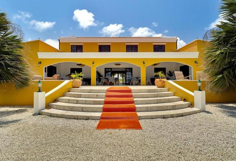 استودیو استاندارد با تراس, Boutique Hotel Wanapa Adult Friendly 14 Years And Older